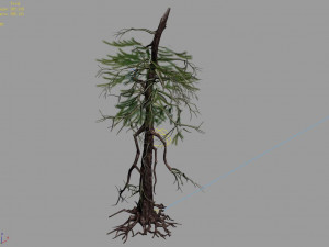 branches-different scales-large fruit-spruce 01 3Dモデル