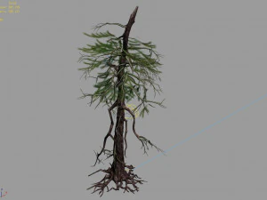branches-different scales-large fruit-spruce 01 3D Model