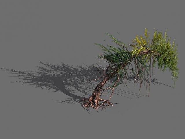 branches-different scales-large fruit-spruce 02 3D Model .c4d .max .obj .3ds .fbx .stl .blend
