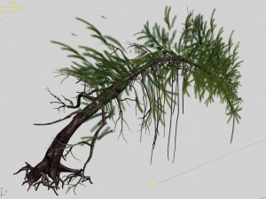 branches-different scales-large fruit-spruce 02 3D Model