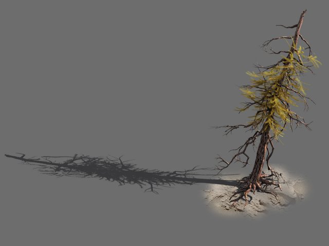 branches-different scales-large fruit-spruce 03 3D-Modell .c4d .max .obj .3ds .fbx .stl .blend 