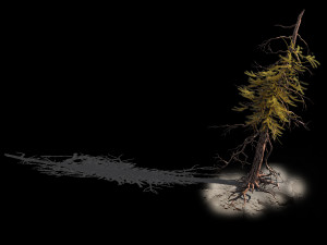 branches-different scales-large fruit-spruce 03 3D-Modell