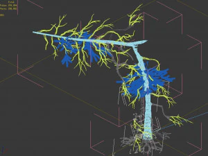 branches-different scales-large fruit-spruce 05 3D Model
