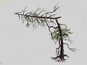 branches-different scales-large fruit-spruce 05 3D मॉडल