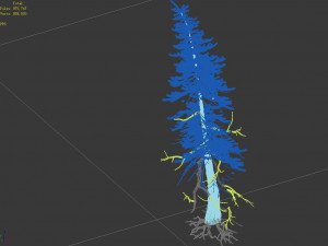 branches-different scales-large fruit-spruce 06 Modelo 3D