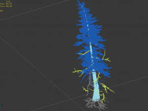 branches-different scales-large fruit-spruce 06 3D Model