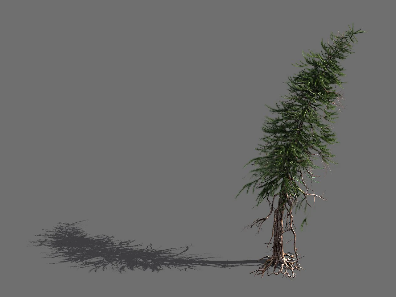 branches-different scales-large fruit-spruce 07 3D Model .c4d .max .obj .3ds .fbx .stl .blend