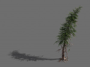 branches-different scales-large fruit-spruce 07 3D Model