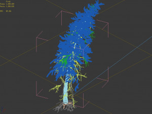 branches-different scales-large fruit-spruce 07 3D 模型