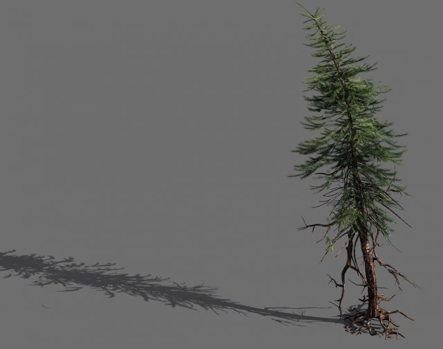 branches-different scales-large fruit-spruce 08 3Dモデル .c4d .max .obj .3ds .fbx .stl .blend 
