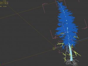 branches-different scales-large fruit-spruce 08 3Dモデル