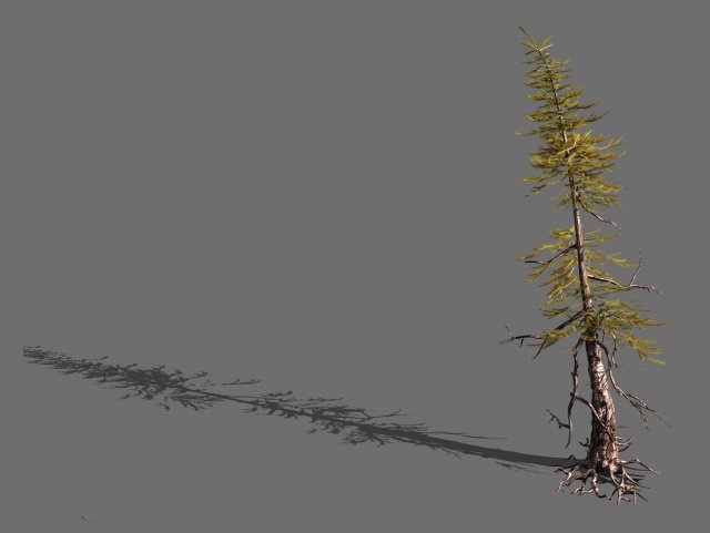 branches-different scales-large fruit-spruce 09 3D Modell .c4d .max .obj .3ds .fbx .stl .blend