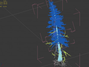 branches-different scales-large fruit-spruce 09 3D Modell