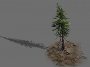 branches-different scales-large fruit-spruce 10 Modèle 3D