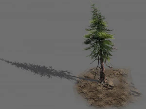 branches-different scales-large fruit-spruce 10 3D Model