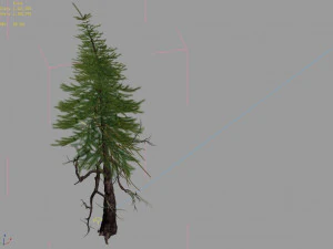 branches-different scales-large fruit-spruce 10 3D Model