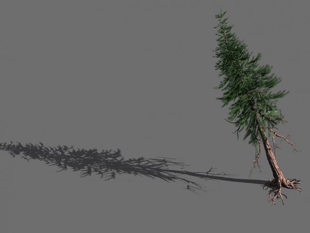 branches-different scales-large fruit-spruce 11 3D Model .c4d .max .obj .3ds .fbx .stl .blend 