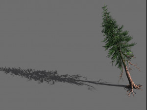 branches-different scales-large fruit-spruce 11 Modelo 3D