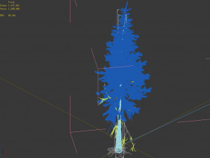 branches-different scales-large fruit-spruce 12 3D Model