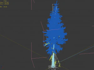 branches-different scales-large fruit-spruce 12 3D Model