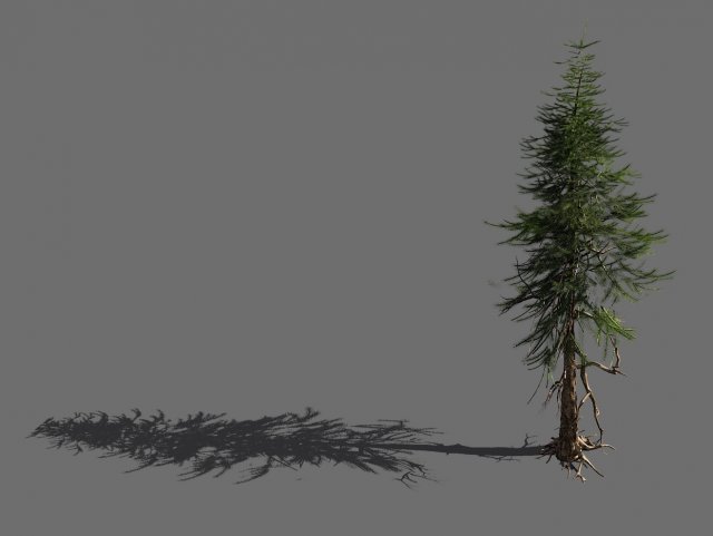 branches-different scales-large fruit-spruce 13 3D Model .c4d .max .obj .3ds .fbx .stl .blend 