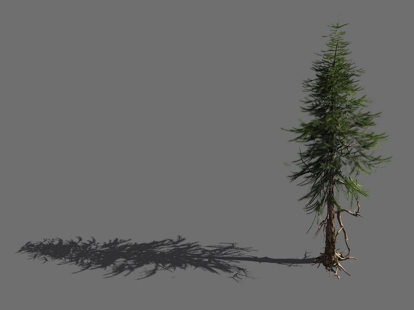 branches-different scales-large fruit-spruce 13 3D Model .c4d .max .obj .3ds .fbx .stl .blend