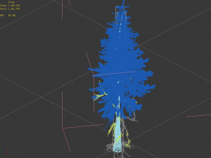 branches-different scales-large fruit-spruce 13 3D Model