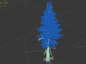 branches-different scales-large fruit-spruce 13 3D Model
