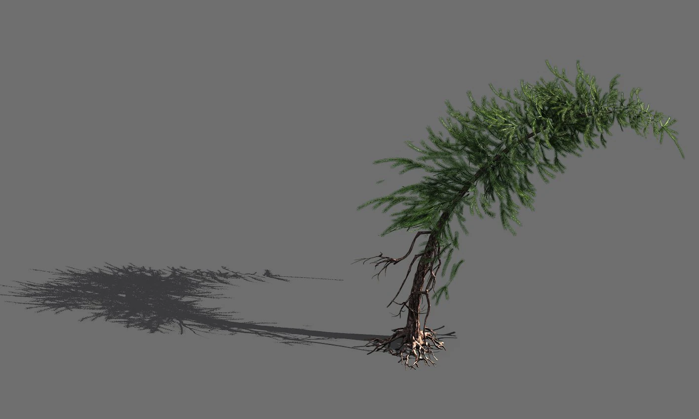 branches-different scales-large fruit-spruce 14 3D Model .c4d .max .obj .3ds .fbx .stl .blend 