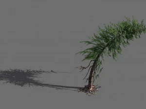 ramos-escamas diferentes-frutas grandes-abeto 14 Modelo 3D