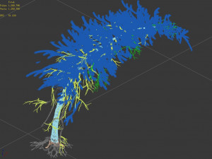 branches-different scales-large fruit-spruce 14 Modelo 3D