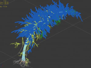 branches-different scales-large fruit-spruce 14 3D Model