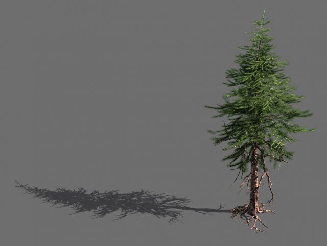 branches-different scales-large fruit-spruce 15 3D मॉडल .c4d .max .obj .3ds .fbx .stl .blend 