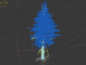 branches-different scales-large fruit-spruce 15 3D मॉडल