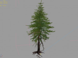 branches-different scales-large fruit-spruce 15 3D मॉडल