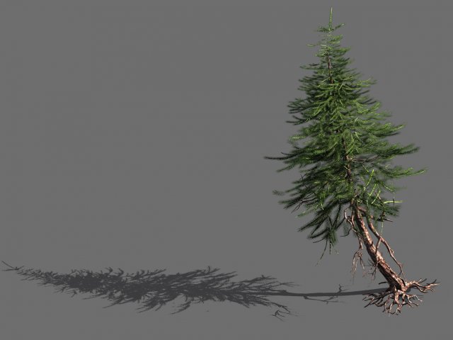 branches-different scales-large fruit-spruce 16 3D मॉडल .c4d .max .obj .3ds .fbx .stl .blend 