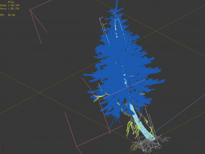 branches-different scales-large fruit-spruce 16 3D मॉडल