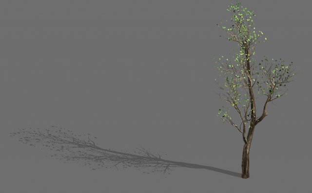 big tree-plant-wood 02 3D Model .c4d .max .obj .3ds .fbx .stl .blend 