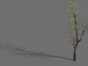 pohon-tanaman-kayu besar 02 Model 3D