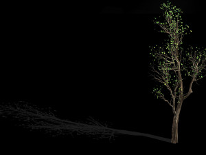big tree-plant-wood 02 3D Model