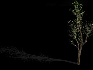 big tree-plant-wood 02 3D Model