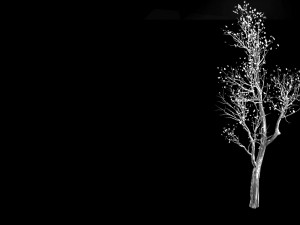 big tree-plant-wood 02 3D Model