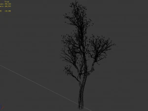 big tree-plant-wood 02 3D Model