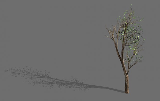 big tree-plant-wood 05 3D 모델 .c4d .max .obj .3ds .fbx .stl .blend 