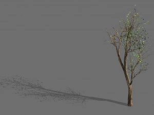 큰 나무-식물-나무 05 3D 모델