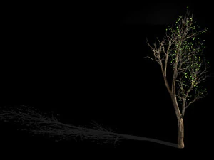 big tree-plant-wood 05 3D Model