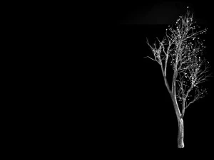 big tree-plant-wood 05 3D Model