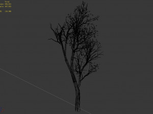 big tree-plant-wood 05 3D 모델