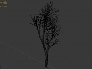 big tree-plant-wood 05 3D Model