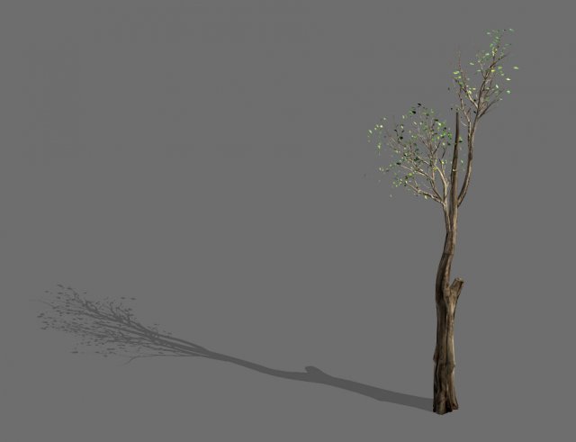big tree-plant-wood 012 3D Model .c4d .max .obj .3ds .fbx .stl .blend 